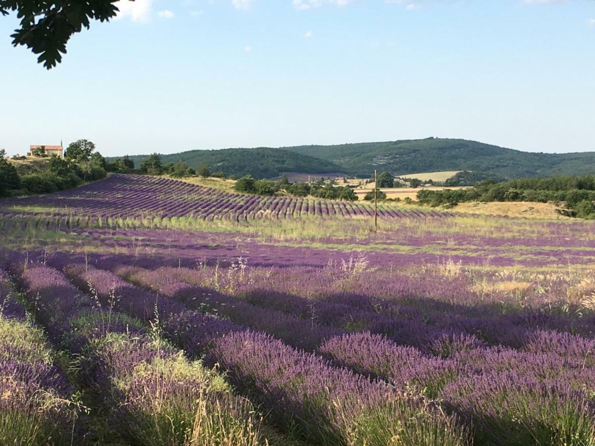 Villa Luberon Saint-Saturnin-lès-Apt Extérieur photo